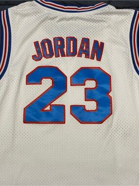 Tune Squad Jordan 23 Basketball Jersey in White & Blue